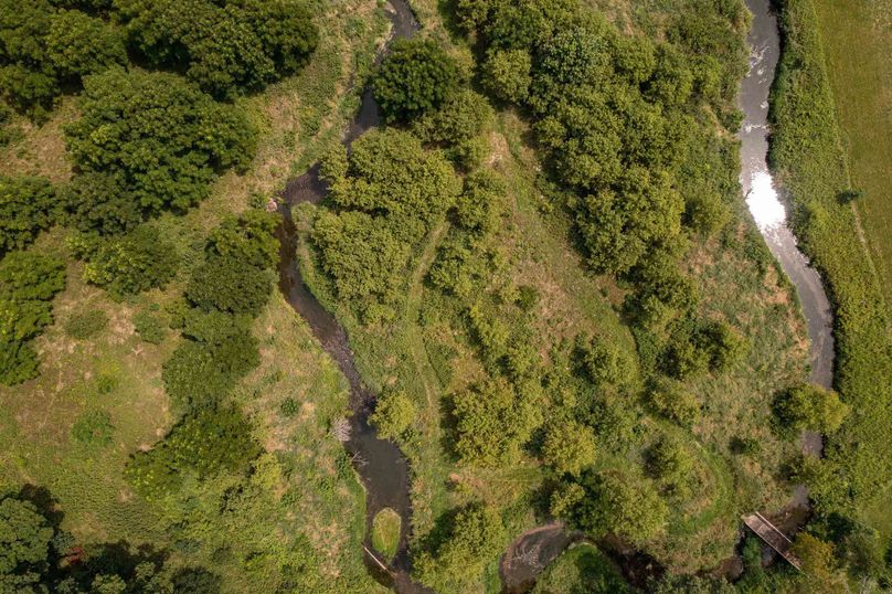 Bee tree farms 2mb (60 of 73)