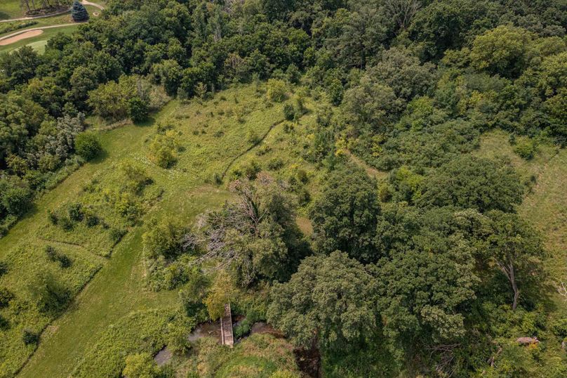 Bee tree farms 2mb (61 of 73)