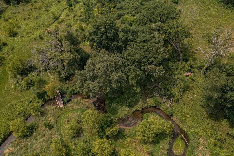 Bee tree farms 2mb (62 of 73)