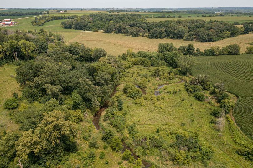 Bee tree farms 2mb (63 of 73)