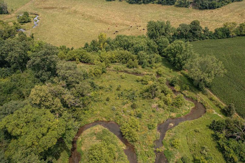 Bee tree farms 2mb (64 of 73)