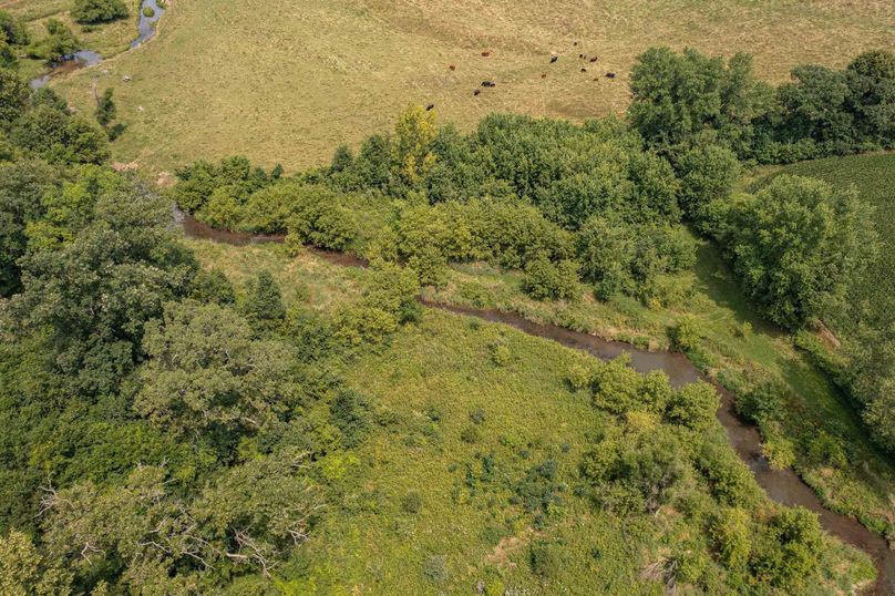 Bee tree farms 2mb (65 of 73)