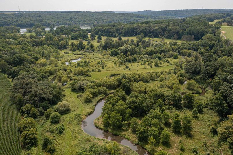 Bee tree farms 2mb (66 of 73)