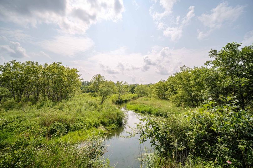 Bee tree farms 2mb (69 of 73)