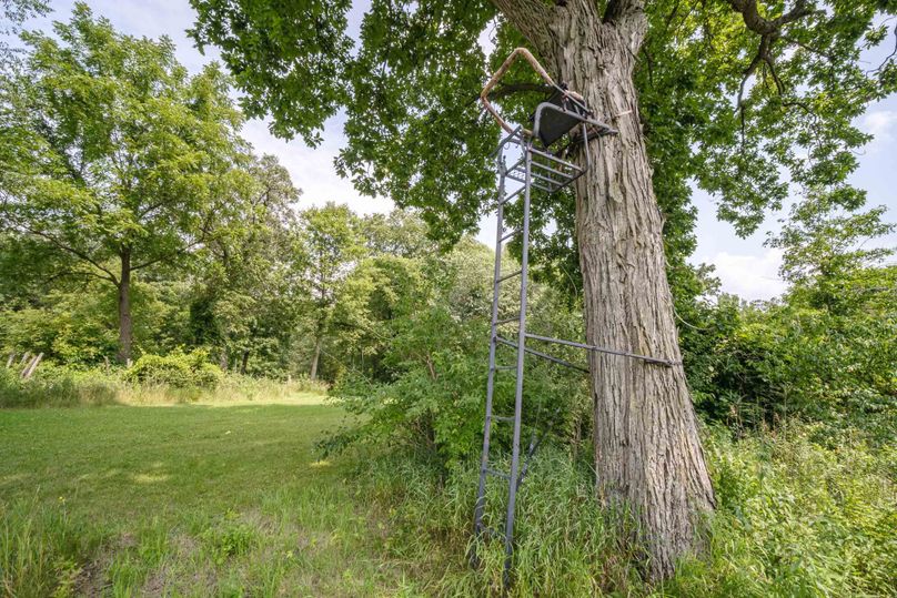 Bee tree farms 2mb (70 of 73)