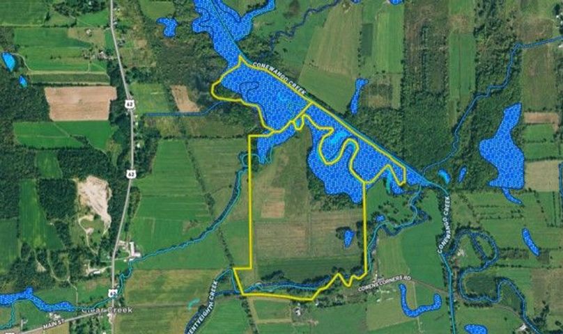 Nobles 198 brainard map right wetlands