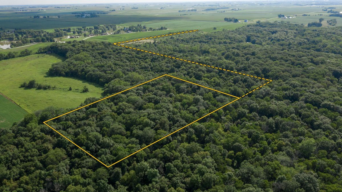 Small And Secluded Timber Tract In Southeast Iowa Whitetail Properties