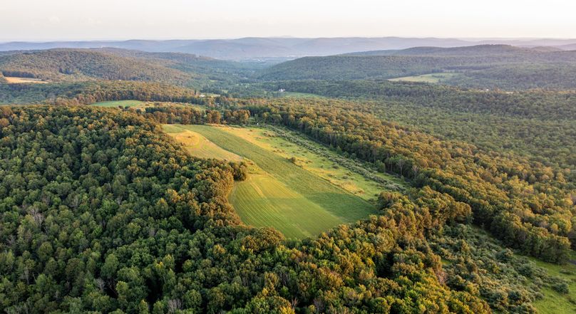 Chemung 285.49 rockefeller drone 14