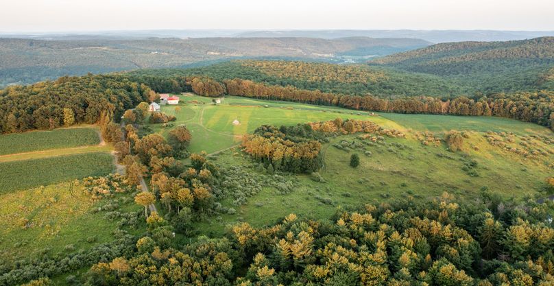 Chemung 285.49 rockefeller drone 15