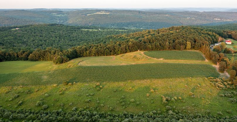 Chemung 285.49 rockefeller drone 17