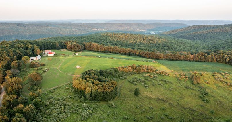 Chemung 285.49 rockefeller drone 18