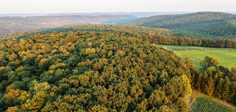 Chemung 285.49 rockefeller drone 11