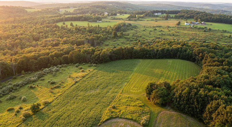 Chemung 285.49 rockefeller drone 12