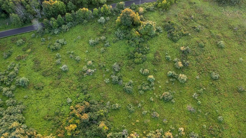 Chemung 285.49 rockefeller drone 13