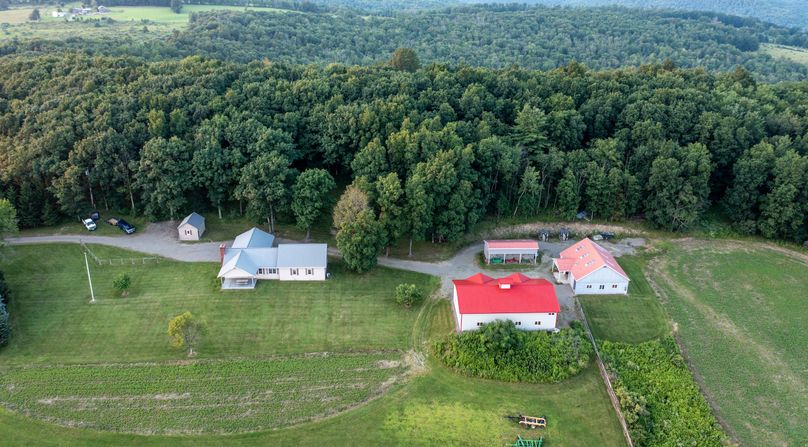 Chemung 285.49 rockefeller drone 20