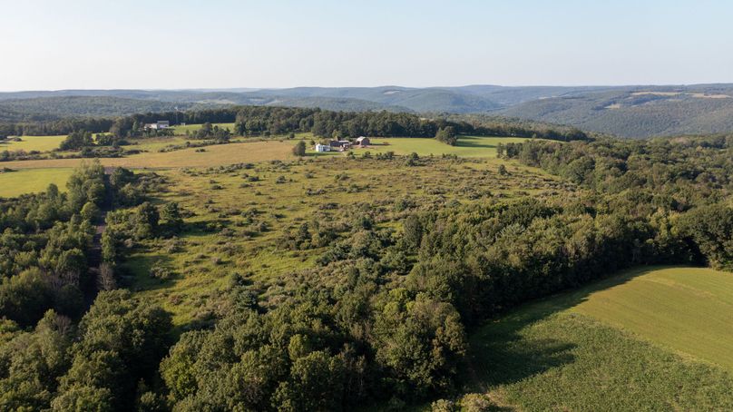 Chemung 285.49 rockefeller drone 23