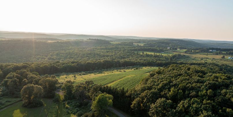 Chemung 285.49 rockefeller drone 7