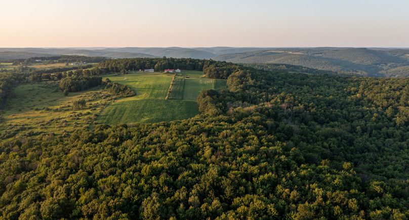 Chemung 285.49 rockefeller drone 8