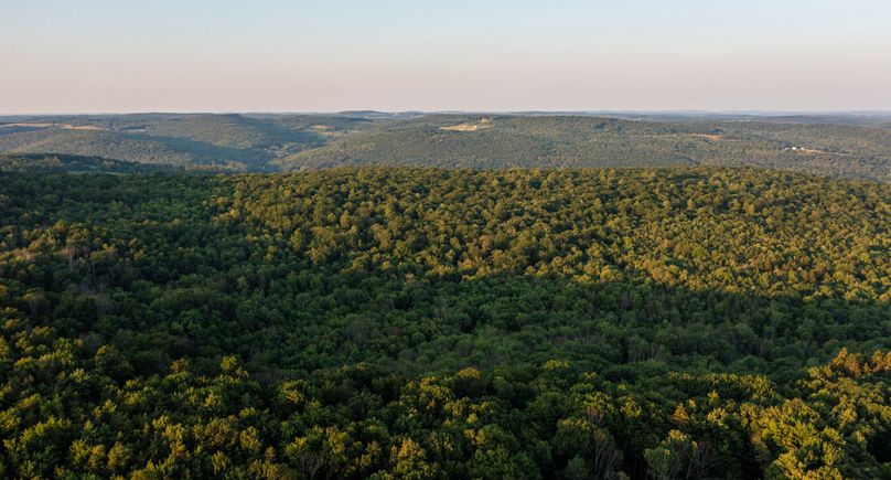 Chemung 285.49 rockefeller drone 9