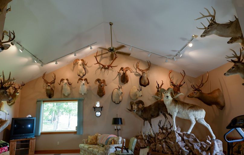 Chemung 285.49 rockefeller 14