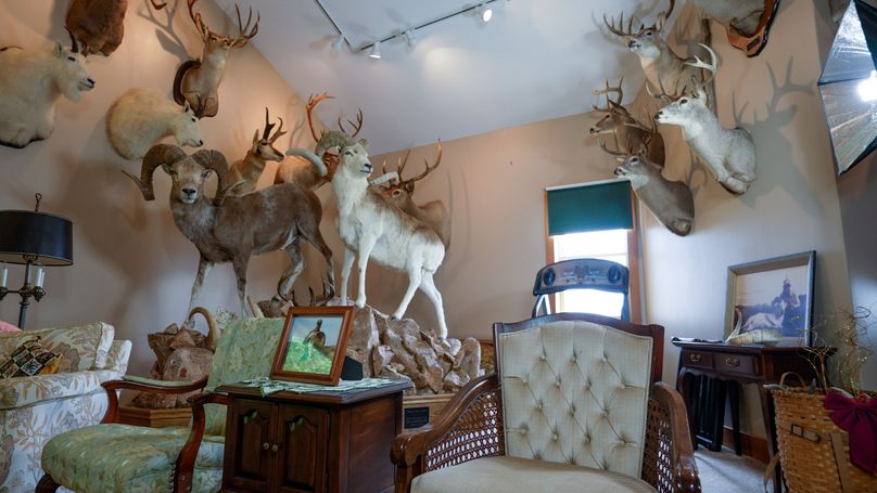 Chemung 285.49 rockefeller 15