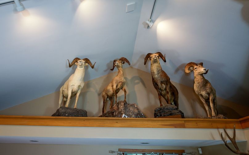 Chemung 285.49 rockefeller 17