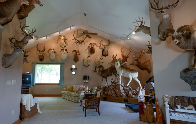 Chemung 285.49 rockefeller 13