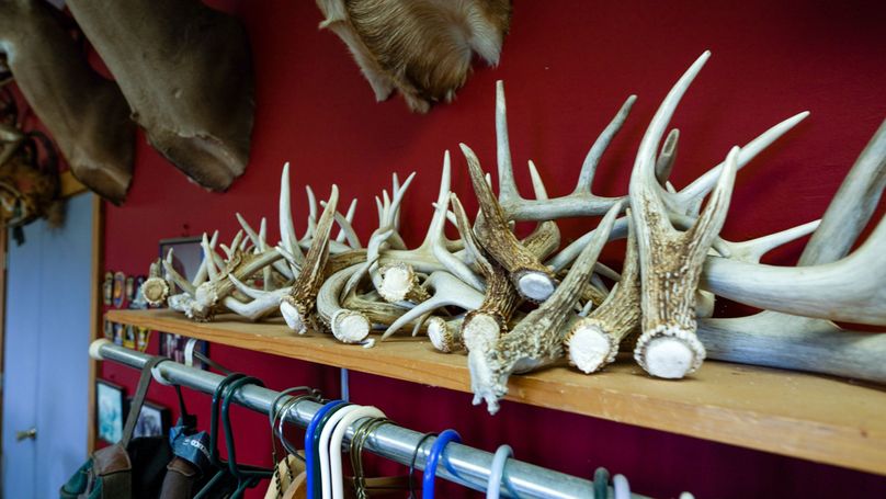 Chemung 285.49 rockefeller 22