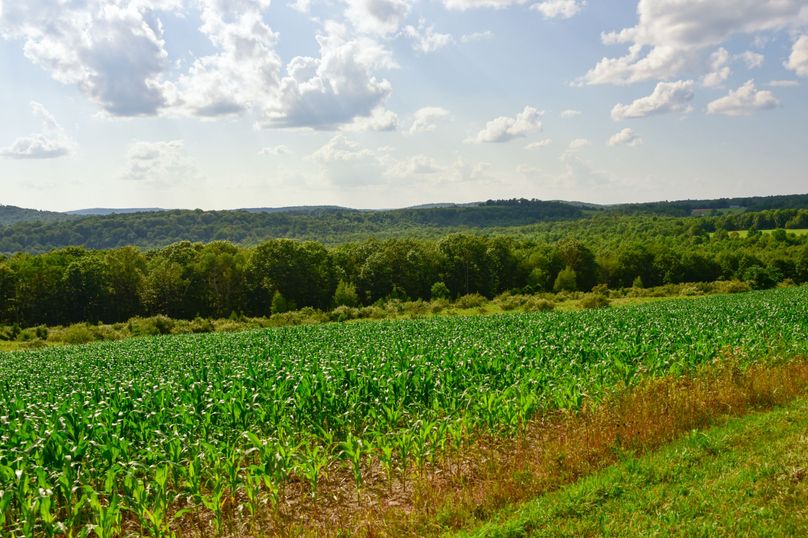 Chemung 285.49 rockefeller 34