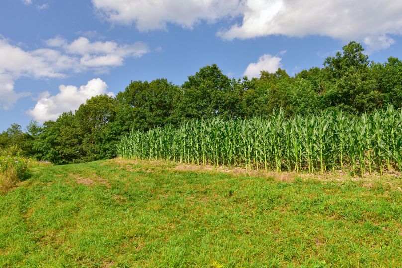 Chemung 285.49 rockefeller 33