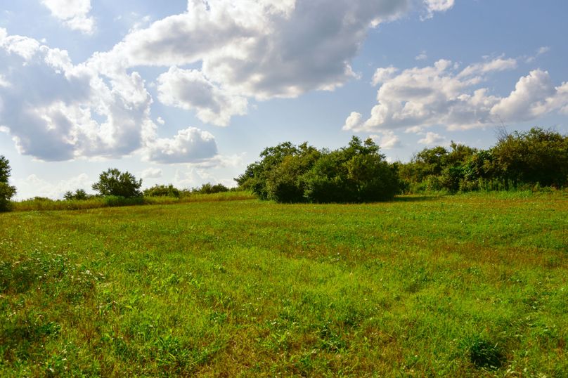 Chemung 285.49 rockefeller 49