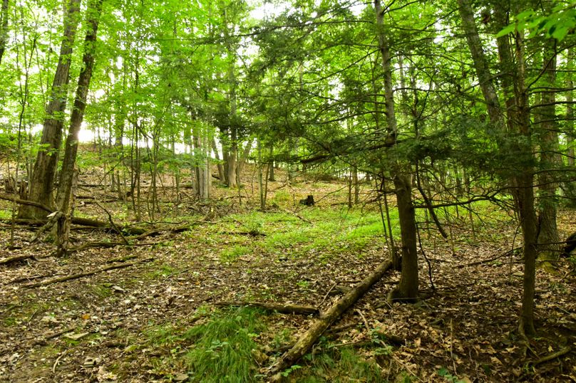 Chemung 285.49 rockefeller 43