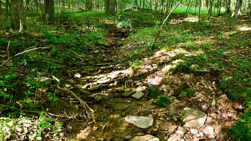 Chemung 285.49 rockefeller 55