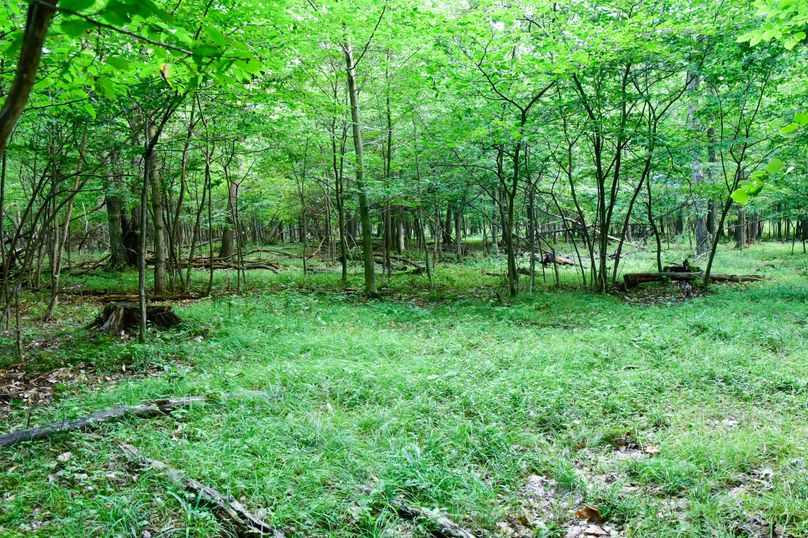 Chemung 285.49 rockefeller 56