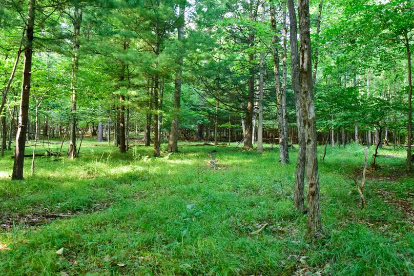 Chemung 285.49 rockefeller 57