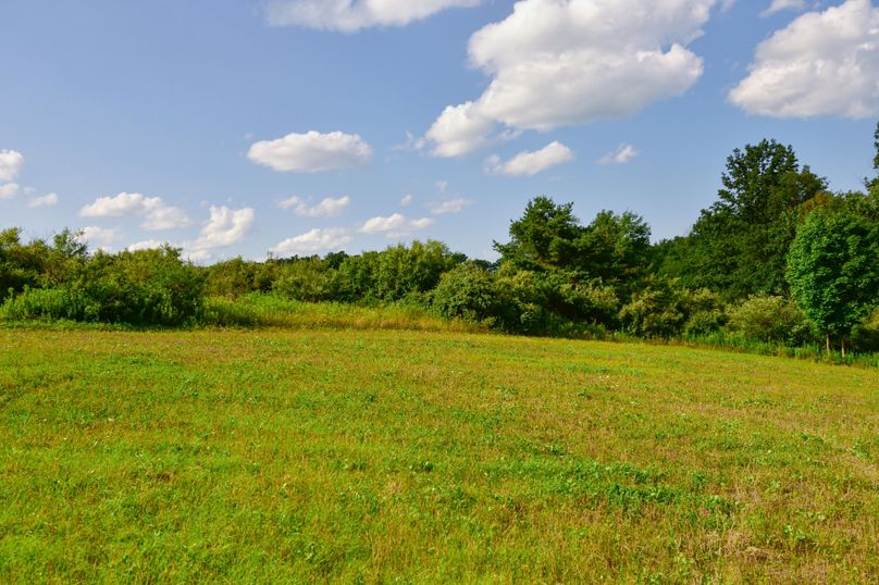 Chemung 285.49 rockefeller 50