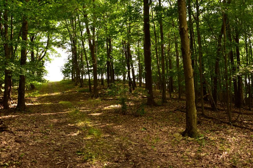 Chemung 285.49 rockefeller 51