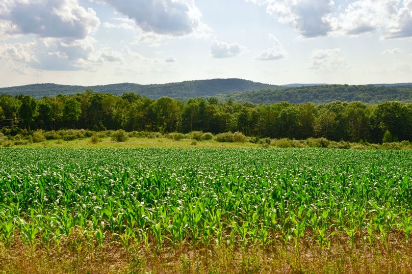 Chemung 285.49 rockefeller 52