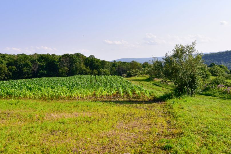 Chemung 285.49 rockefeller 64