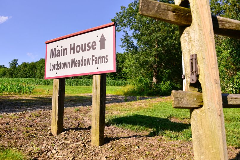 Chemung 285.49 rockefeller 65