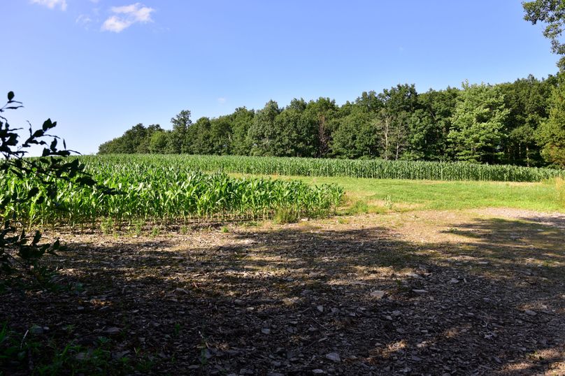 Chemung 285.49 rockefeller 66