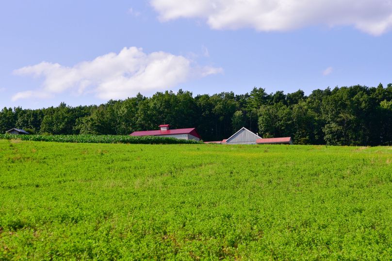 Chemung 285.49 rockefeller 61