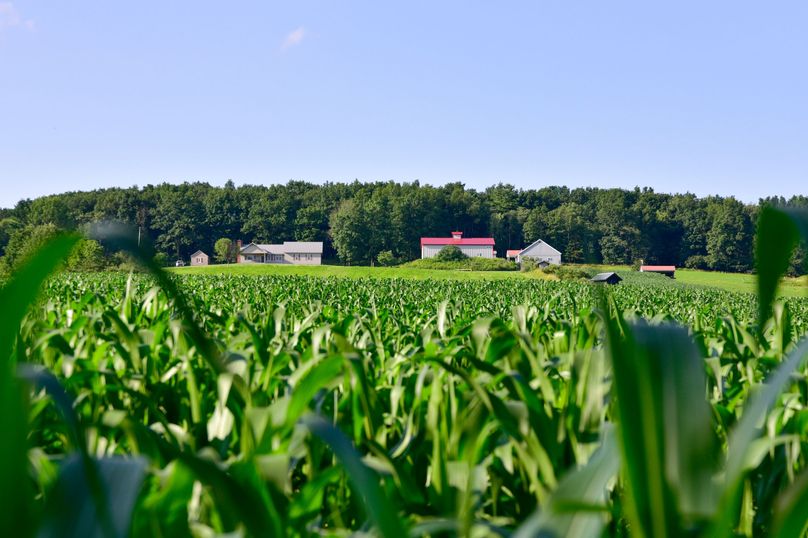 Chemung 285.49 rockefeller 62