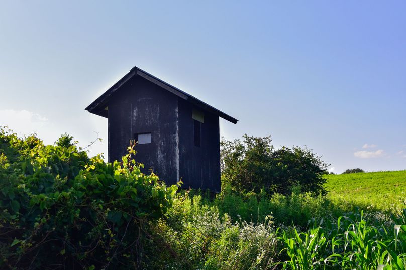 Chemung 285.49 rockefeller 63