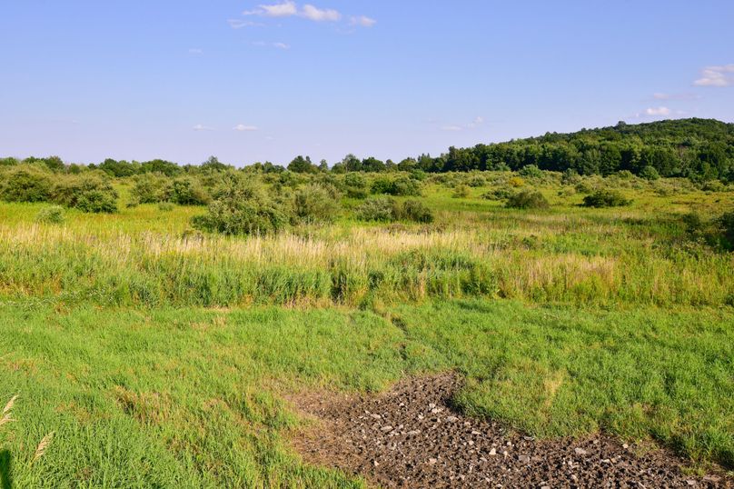 Chemung 285.49 rockefeller 74