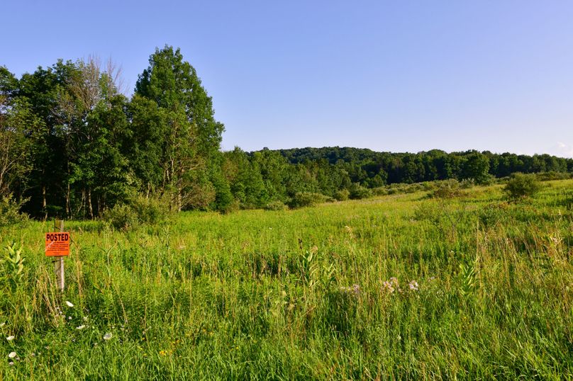 Chemung 285.49 rockefeller 75