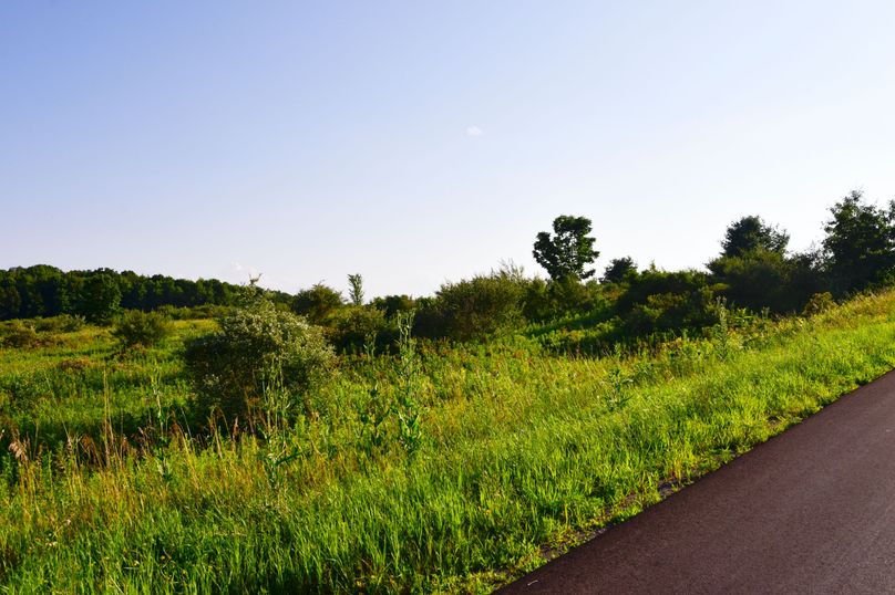 Chemung 285.49 rockefeller 76