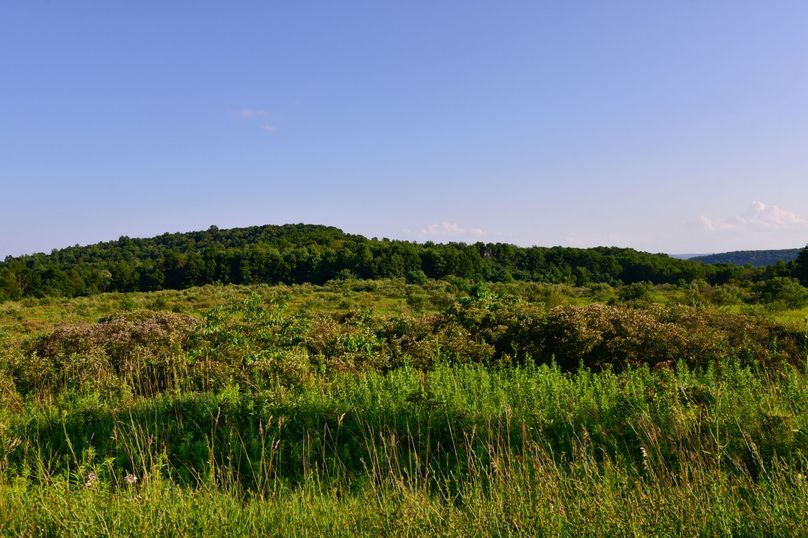 Chemung 285.49 rockefeller 77