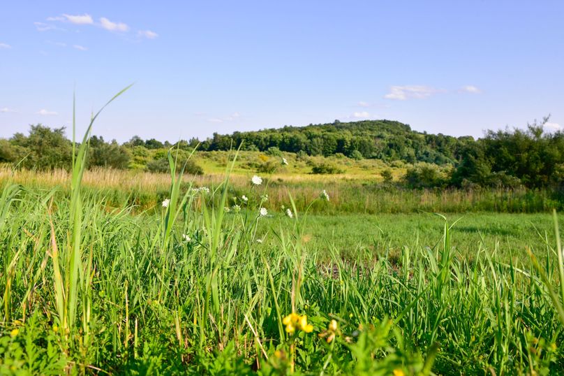 Chemung 285.49 rockefeller 73