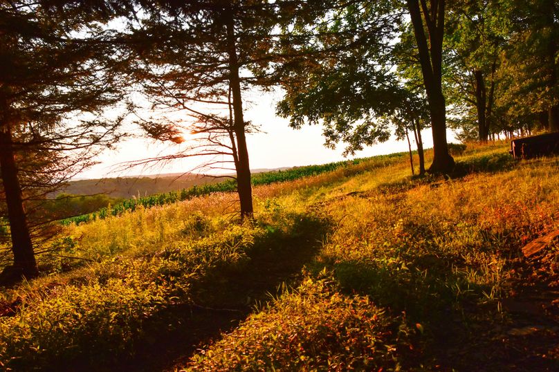 Chemung 285.49 rockefeller 94